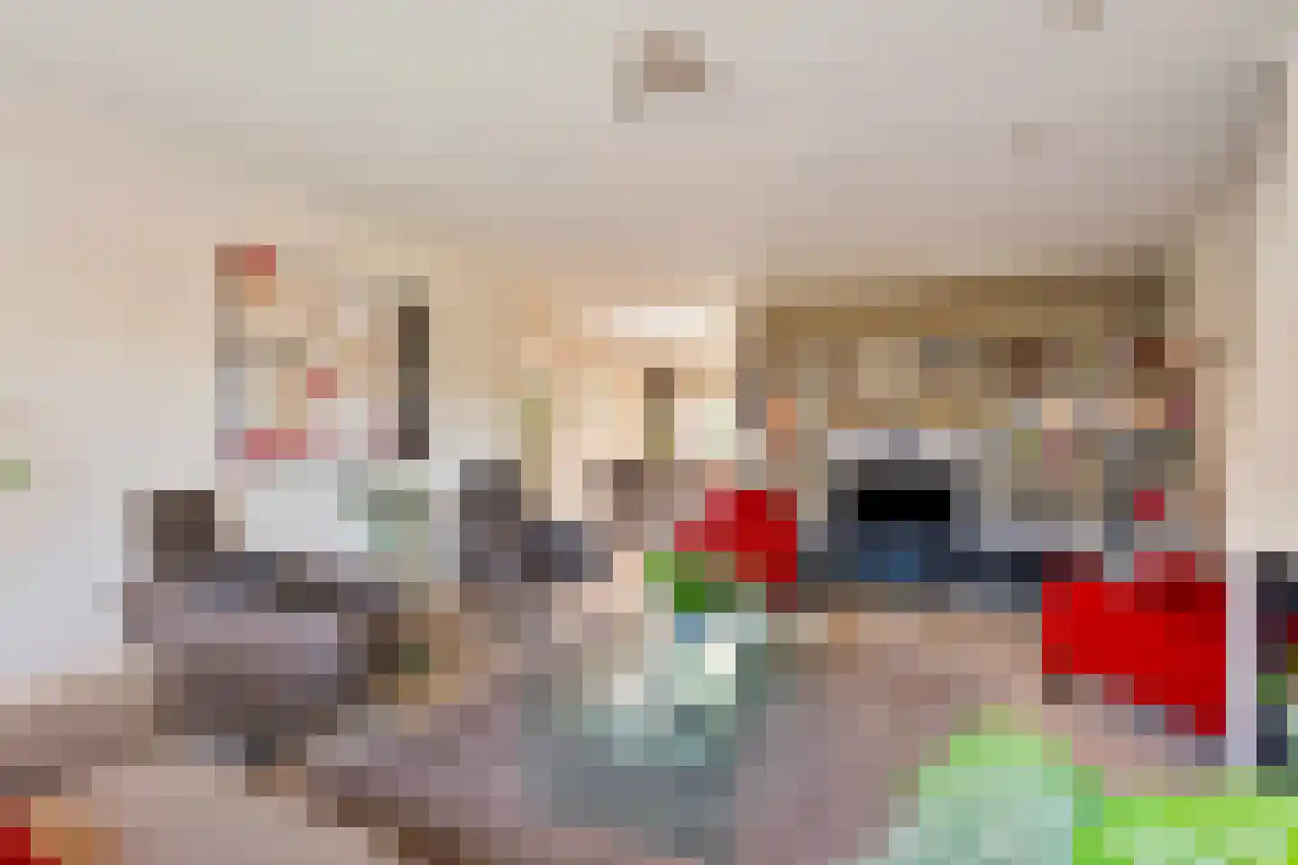 Oerallaan 4 Venray thumbnail 8