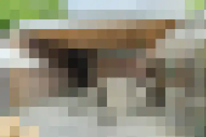 Oeralweg 38 Tilburg thumbnail 20