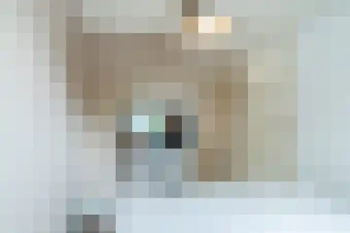 Oeralweg 38 Tilburg thumbnail 33