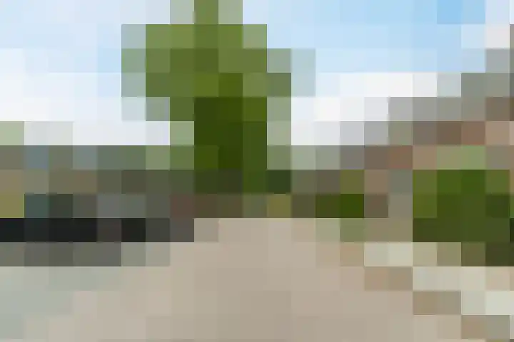 Oeralweg 38 Tilburg thumbnail 37