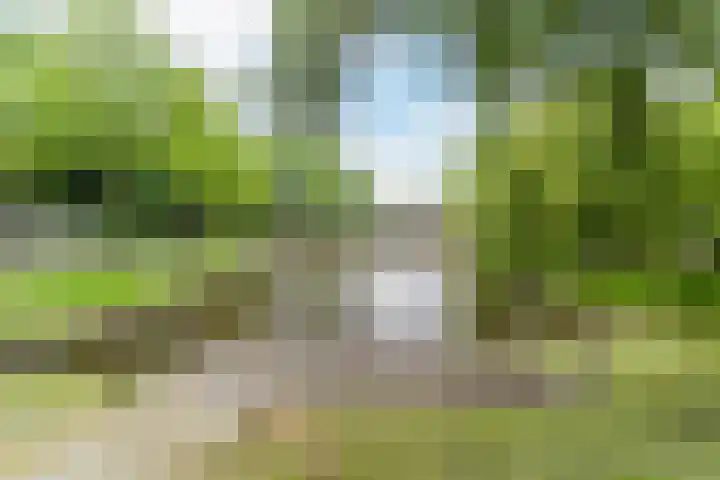 Oeralweg 38 Tilburg thumbnail 38