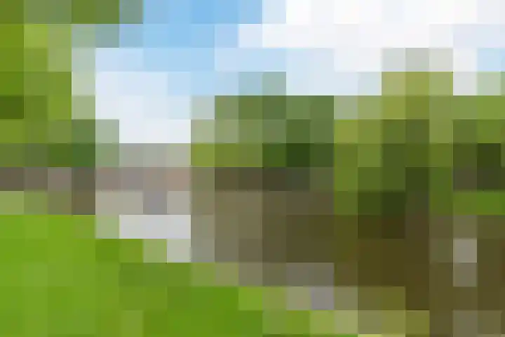Oeralweg 38 Tilburg thumbnail 39