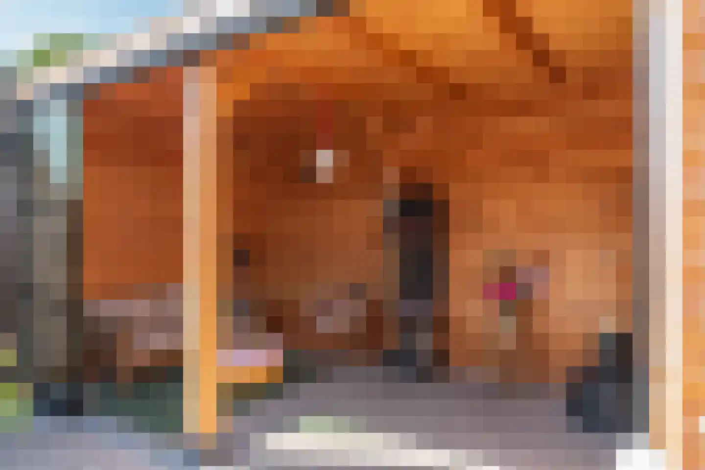 Oeralweg 73 Tilburg thumbnail 4
