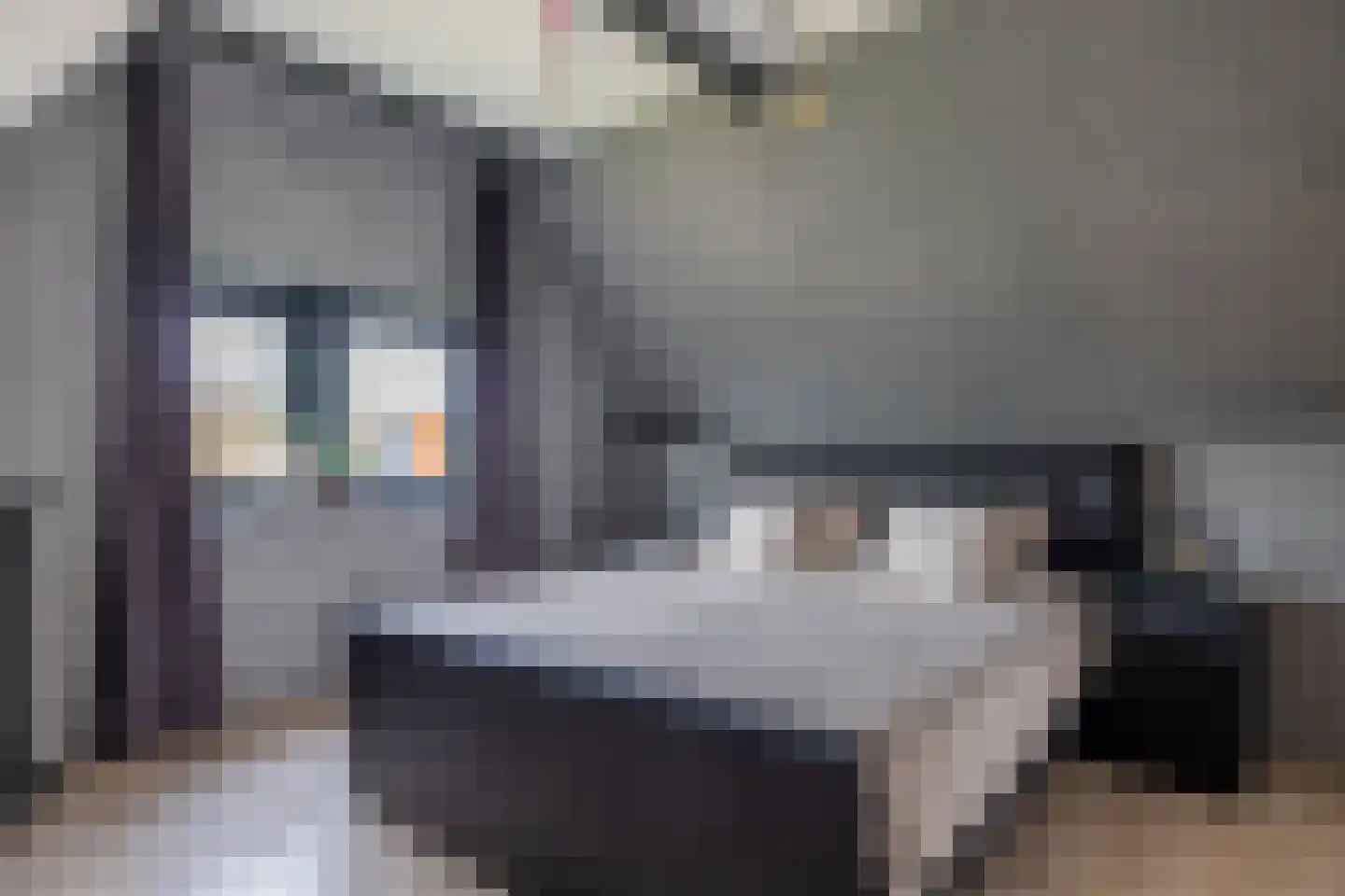 Oerd 4 Hijum thumbnail 30