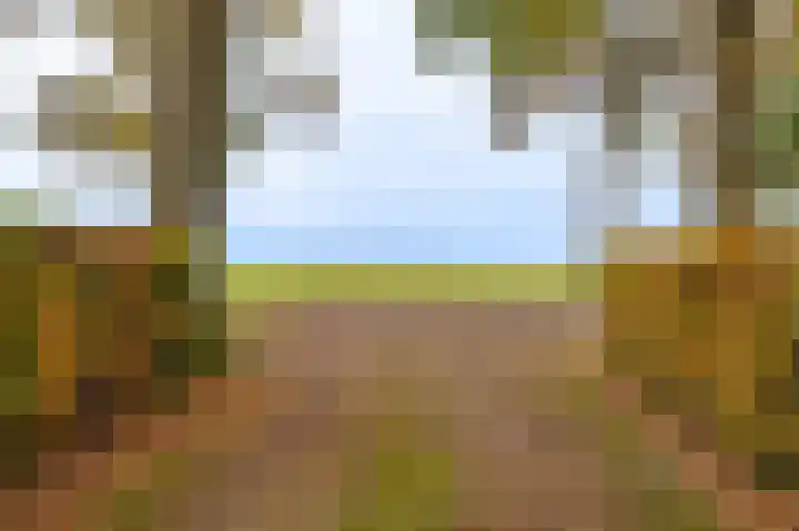 Oerdeweg 32 Wedde thumbnail 10
