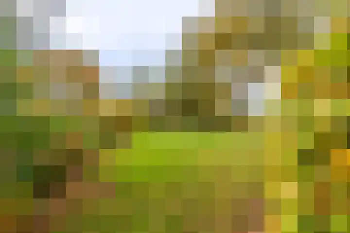 Oerdeweg 32 Wedde thumbnail 12