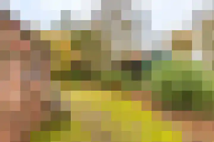 Oerdeweg 32 Wedde thumbnail 14