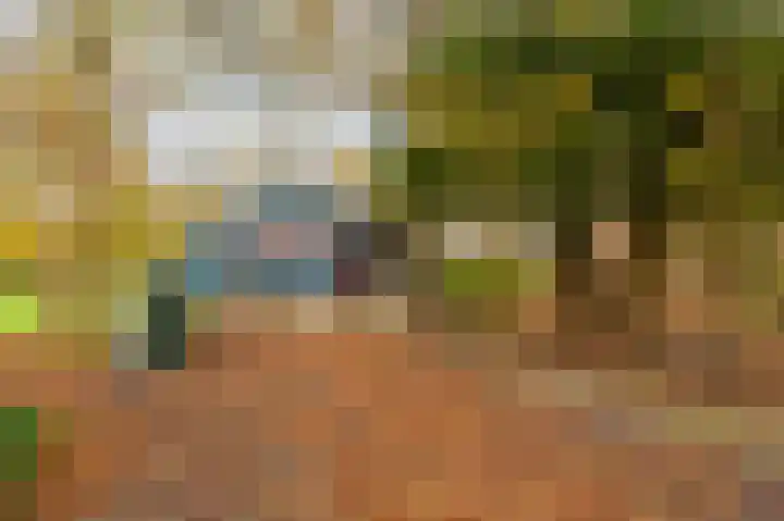 Oerdeweg 32 Wedde thumbnail 17