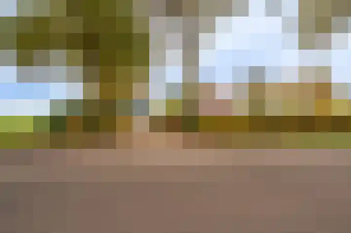 Oerdeweg 32 Wedde thumbnail 4