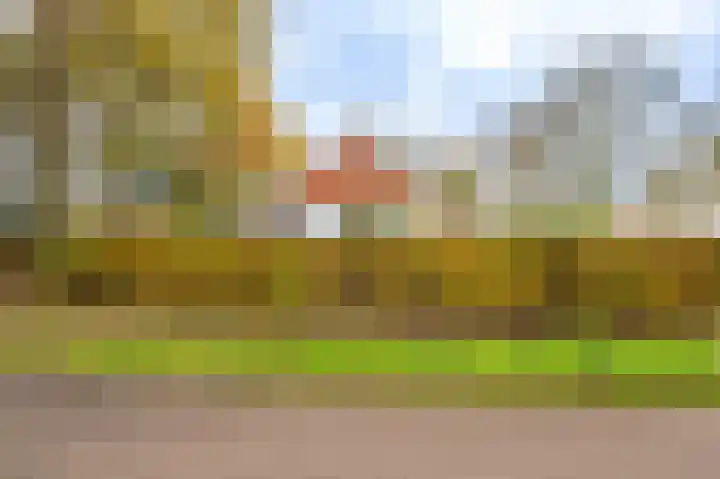 Oerdeweg 32 Wedde thumbnail 5