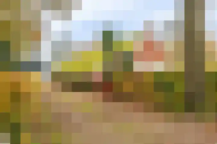 Oerdeweg 32 Wedde thumbnail 8