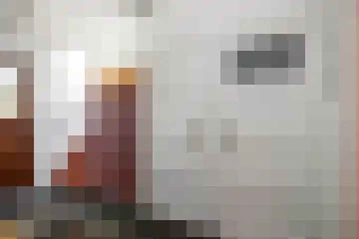 Oerdijk 14 Schalkhaar thumbnail 4