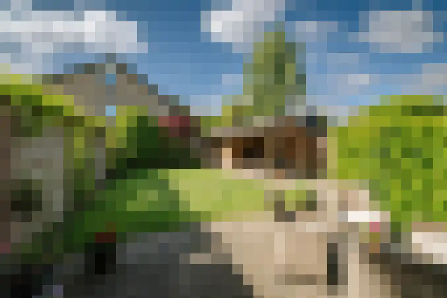 Oerdijk 62 Schalkhaar thumbnail 24