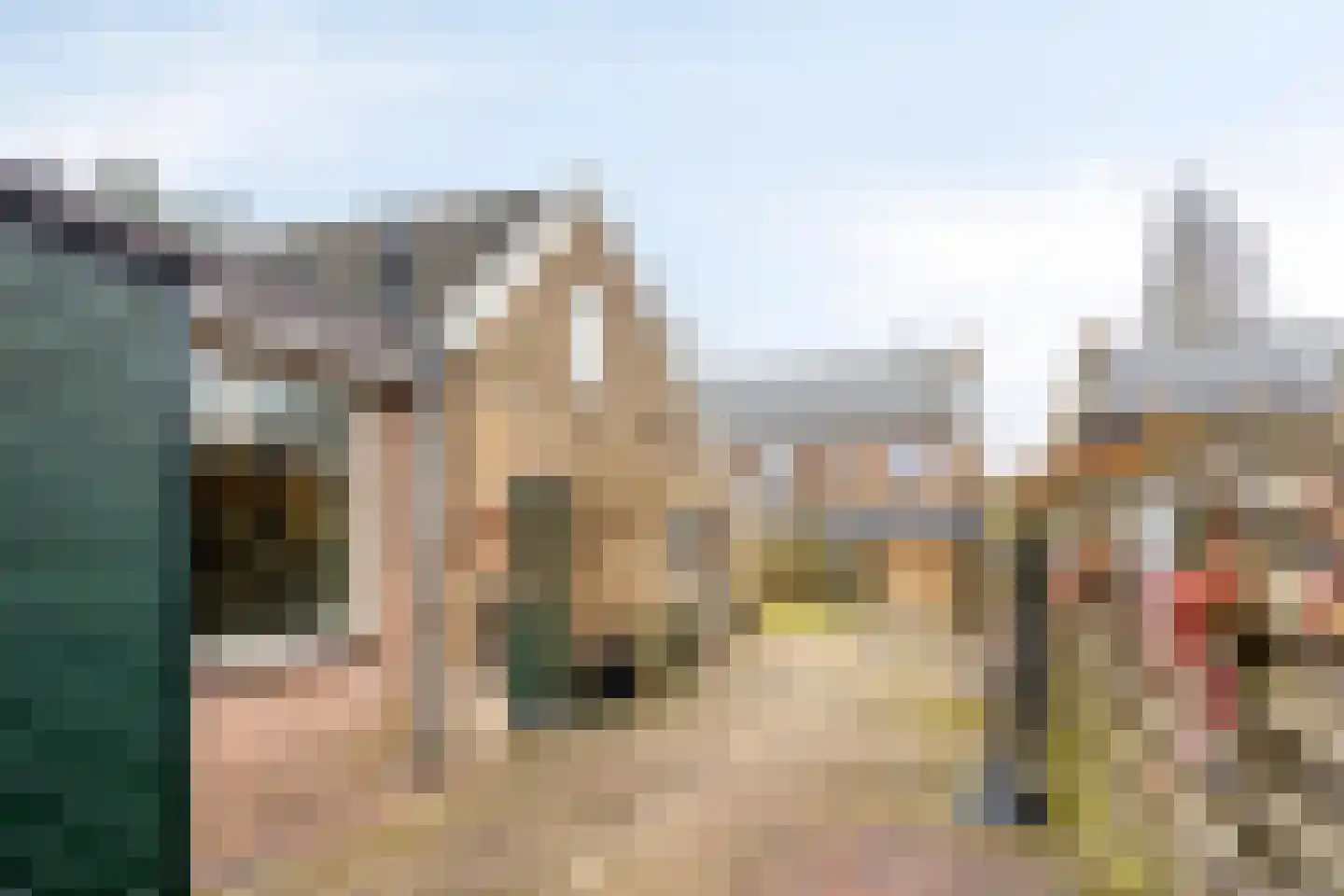 Oerdijk 80 Schalkhaar thumbnail 33