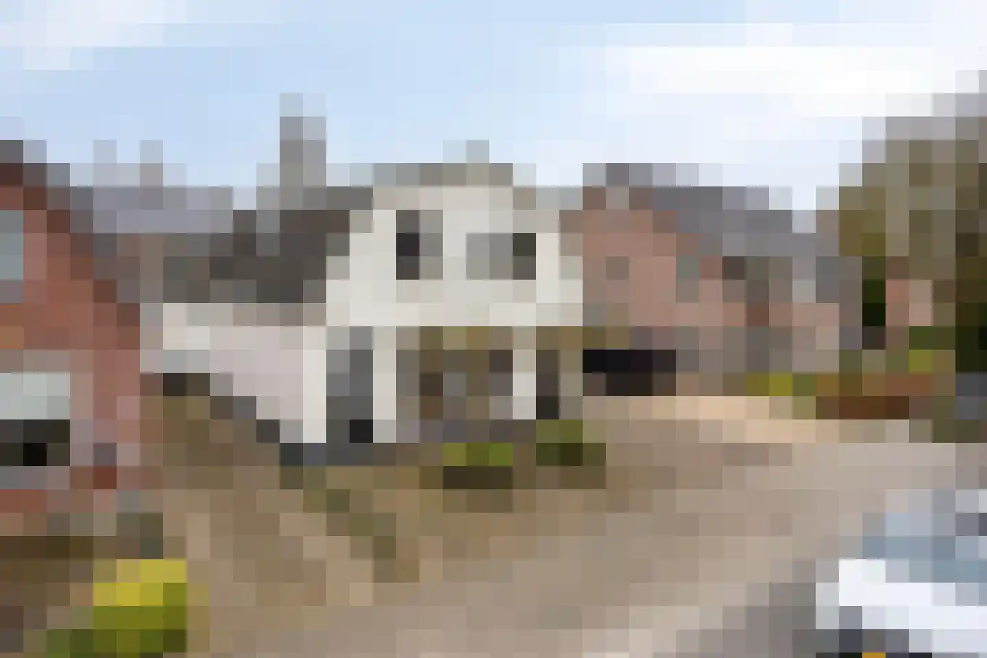 Oerdijk 80 Schalkhaar thumbnail 44