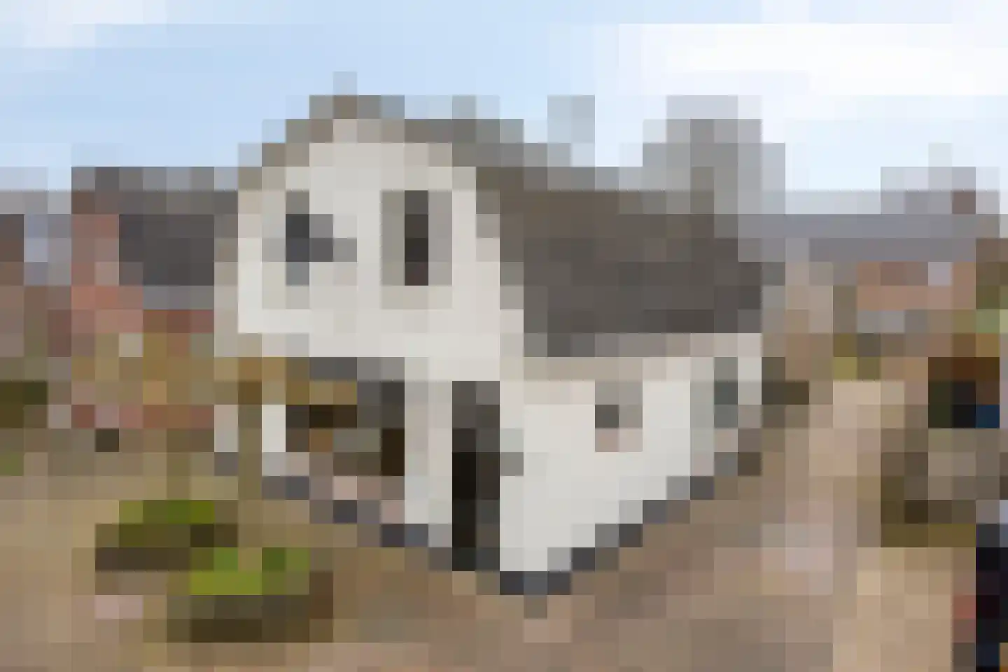 Oerdijk 80 Schalkhaar thumbnail 45