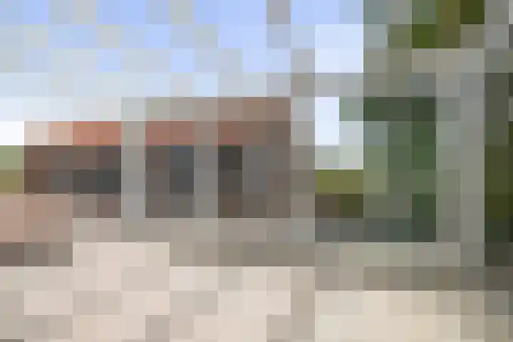 Oerdijk 83 Schalkhaar thumbnail 24