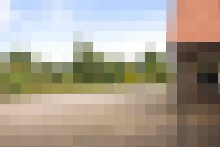 Oerdijk 83 Schalkhaar thumbnail 6