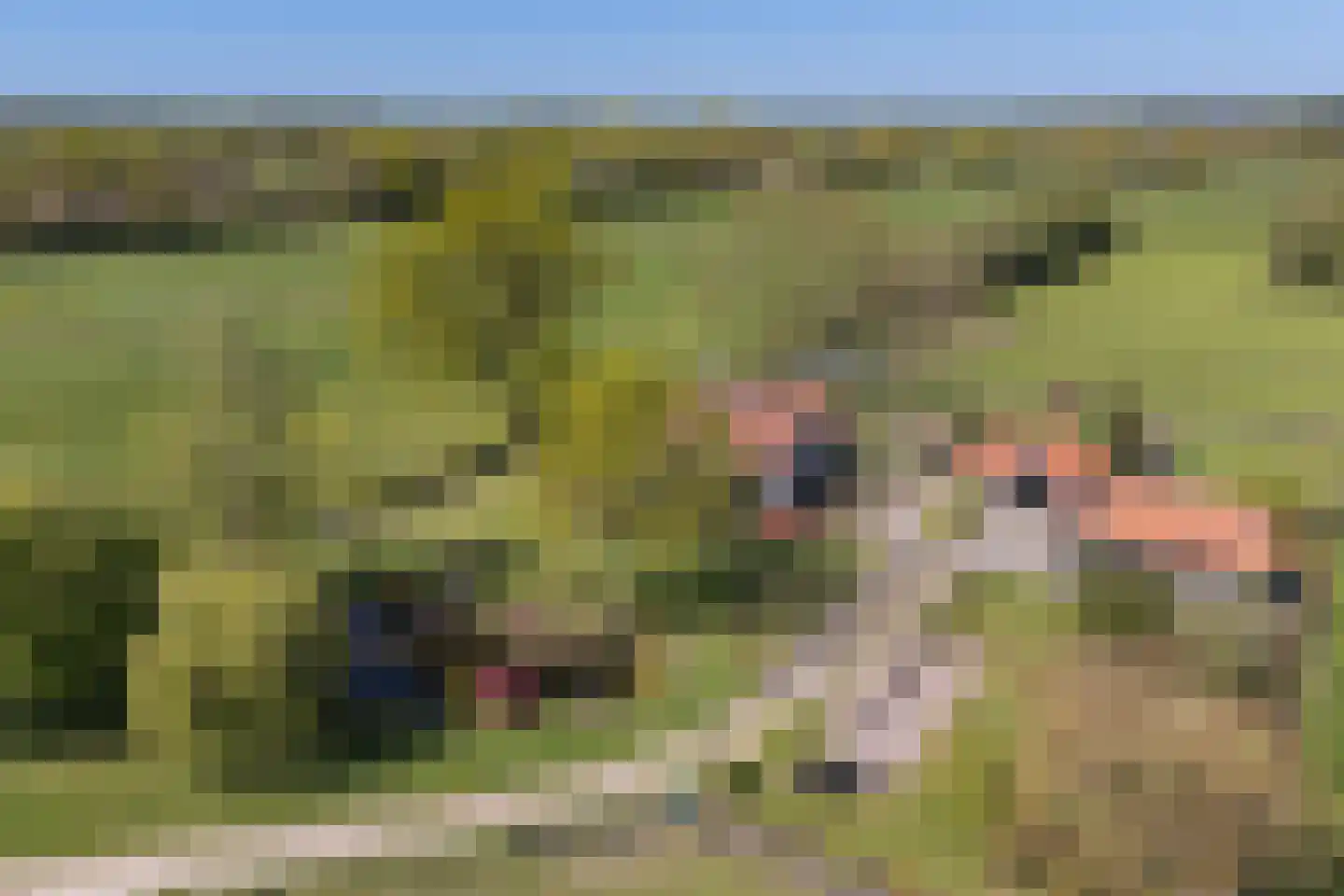 Oerdijk 95 Schalkhaar thumbnail 10