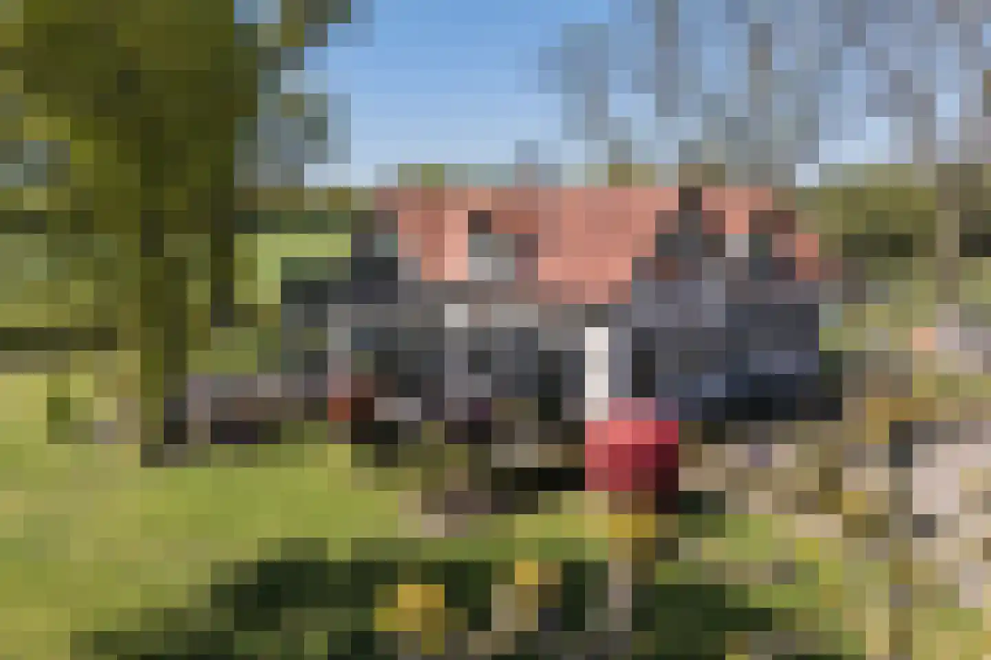 Oerdijk 95 Schalkhaar thumbnail 13