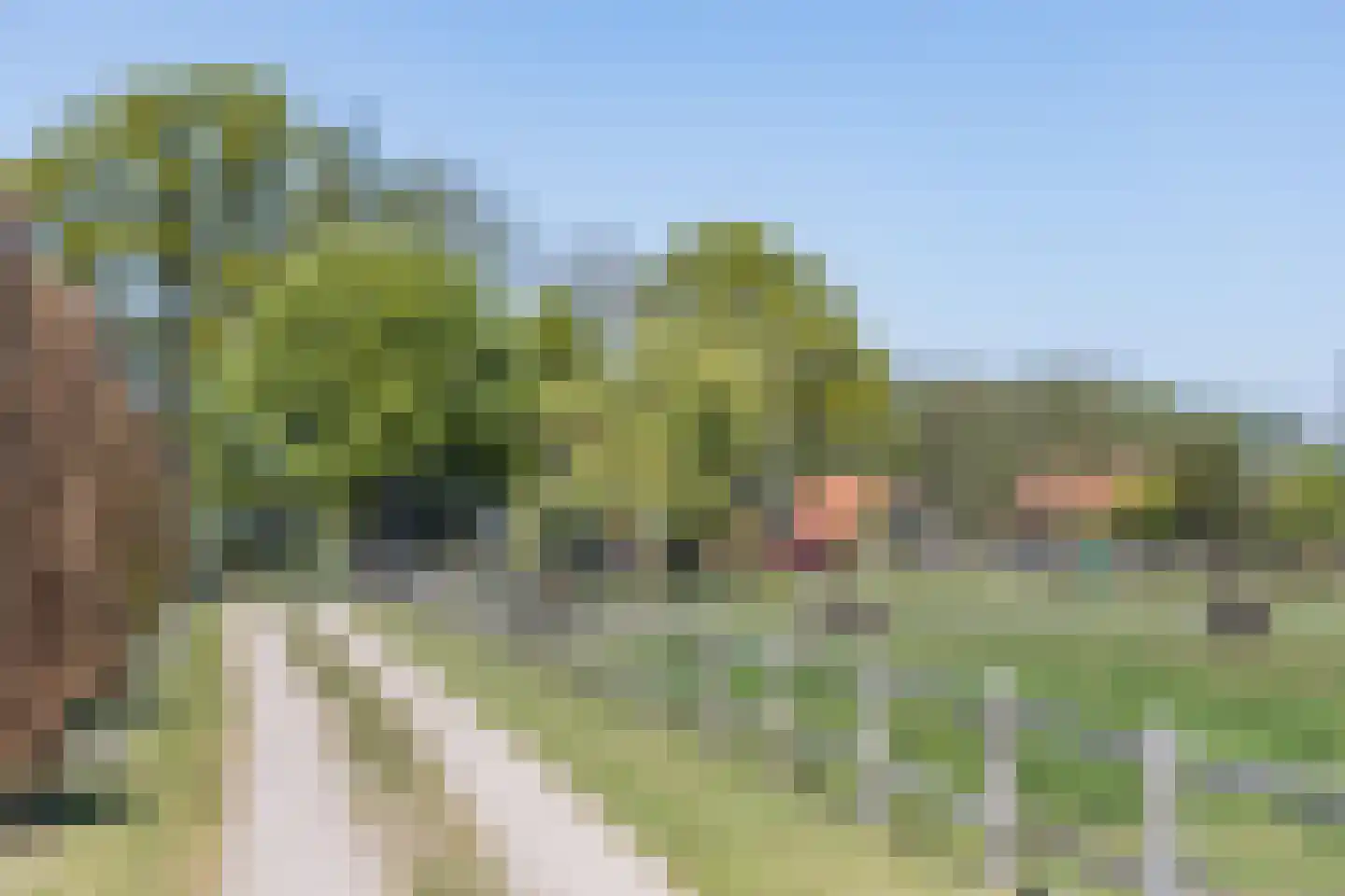 Oerdijk 95 Schalkhaar thumbnail 5