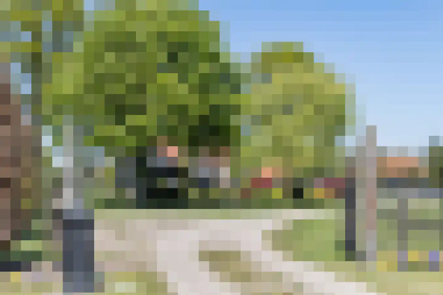 Oerdijk 95 Schalkhaar thumbnail 6