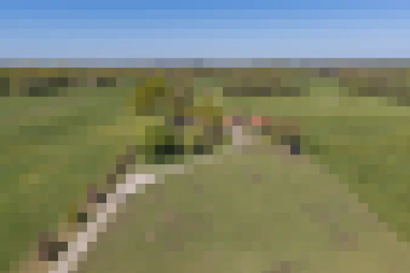 Oerdijk 95 Schalkhaar thumbnail 67