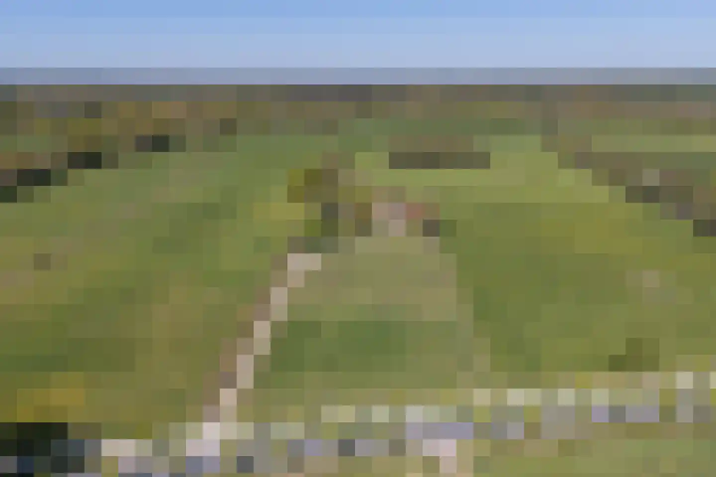 Oerdijk 95 Schalkhaar thumbnail 68