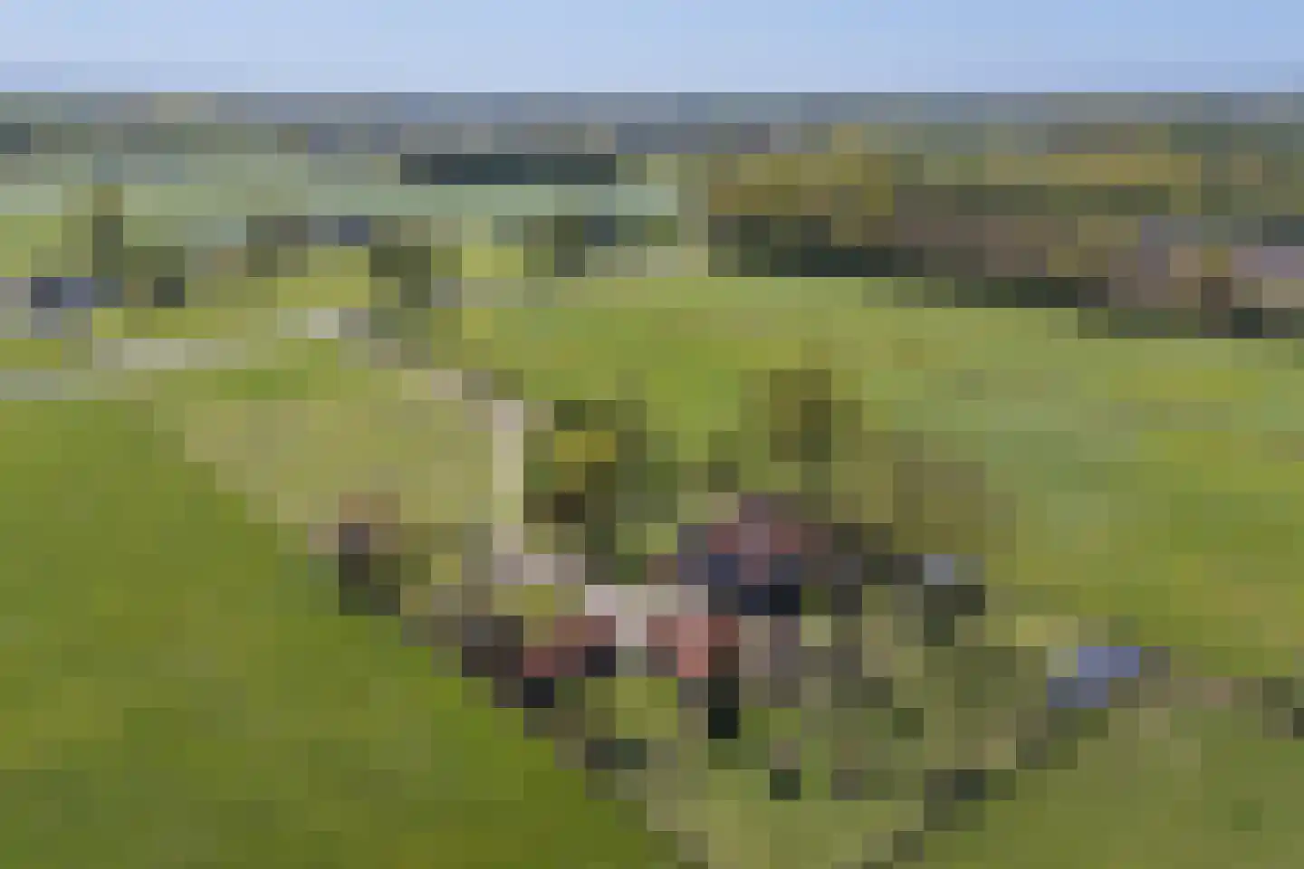 Oerdijk 95 Schalkhaar thumbnail 69