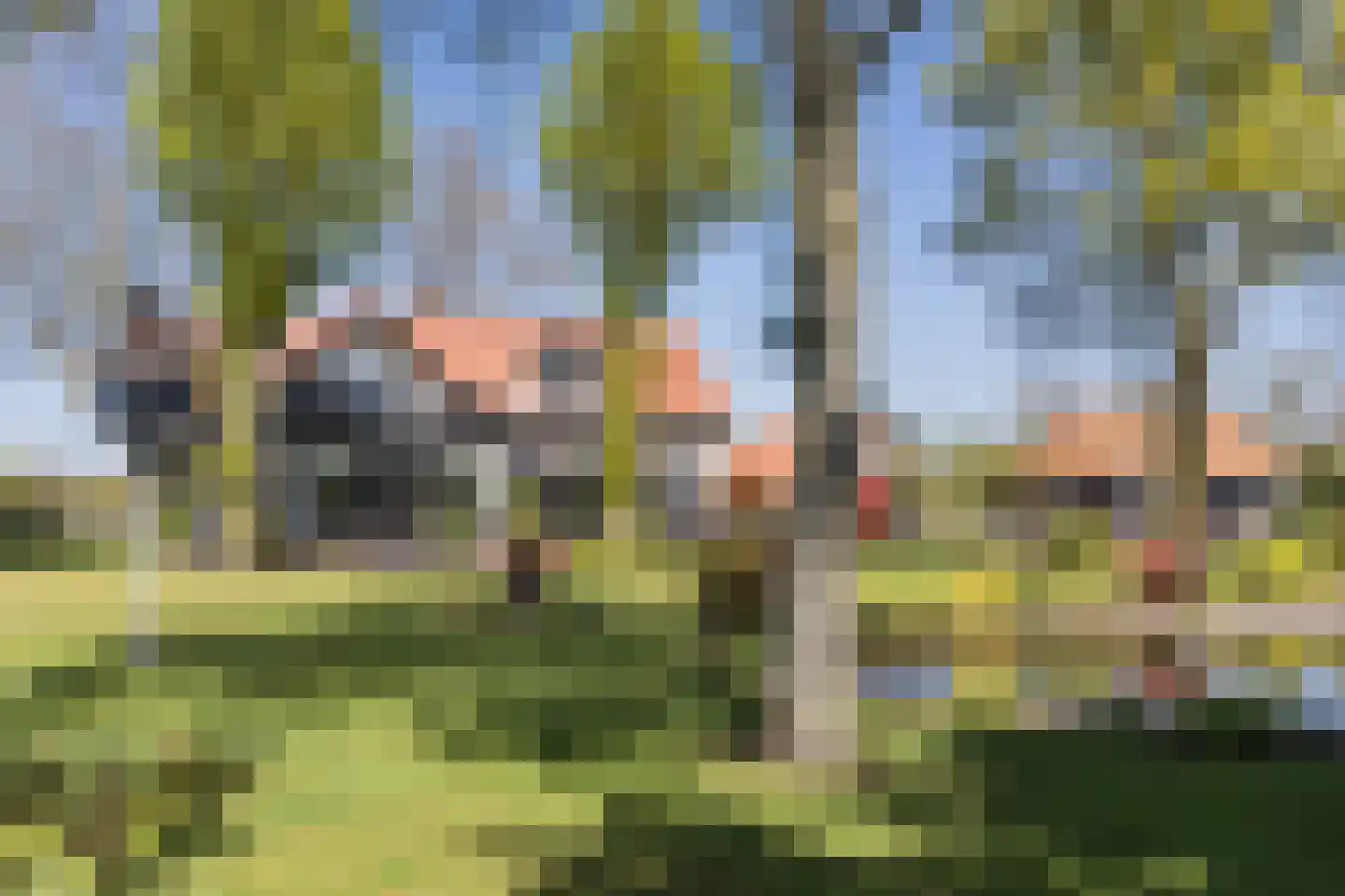 Oerdijk 95 Schalkhaar thumbnail 8