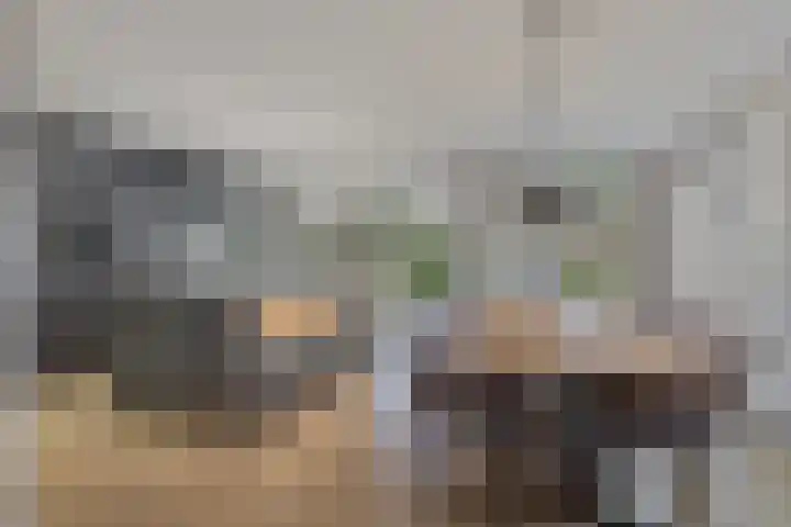 Oerdonk 43 Beuningen Gld thumbnail 15