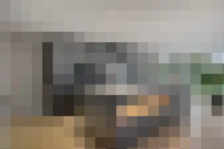Oerdonk 43 Beuningen Gld thumbnail 16