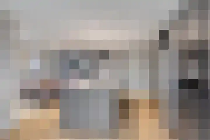 Oerdonk 43 Beuningen Gld thumbnail 19