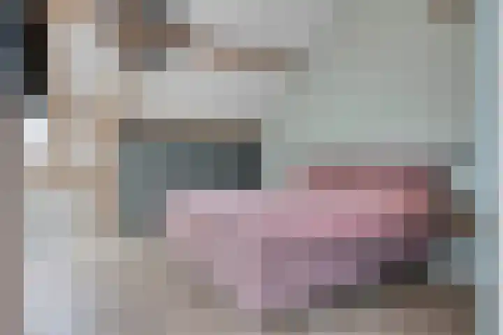 Oerdonk 43 Beuningen Gld thumbnail 39
