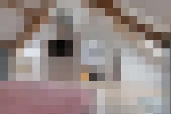 Oerdonk 43 Beuningen Gld thumbnail 41