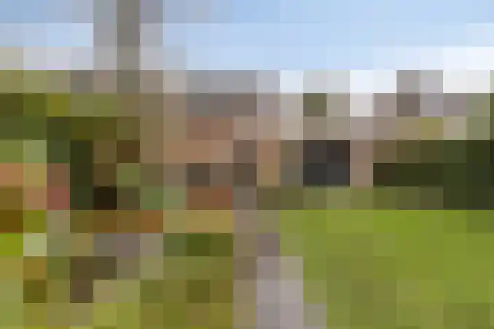 Oerdonk 43 Beuningen Gld thumbnail 43