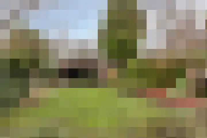 Oerdonk 43 Beuningen Gld thumbnail 45
