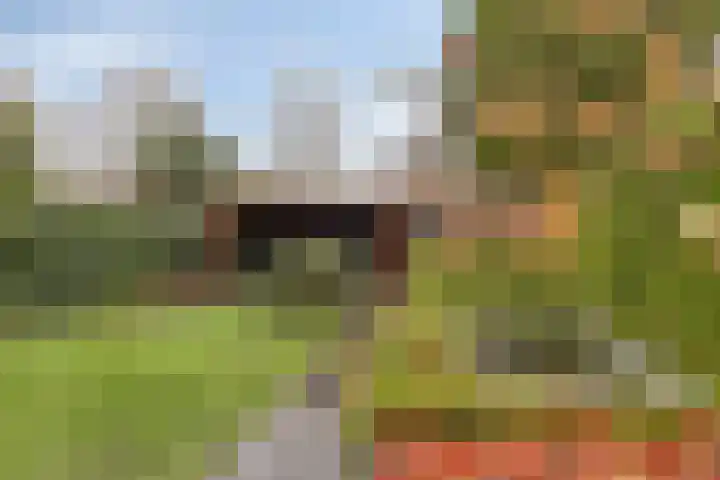 Oerdonk 43 Beuningen Gld thumbnail 46