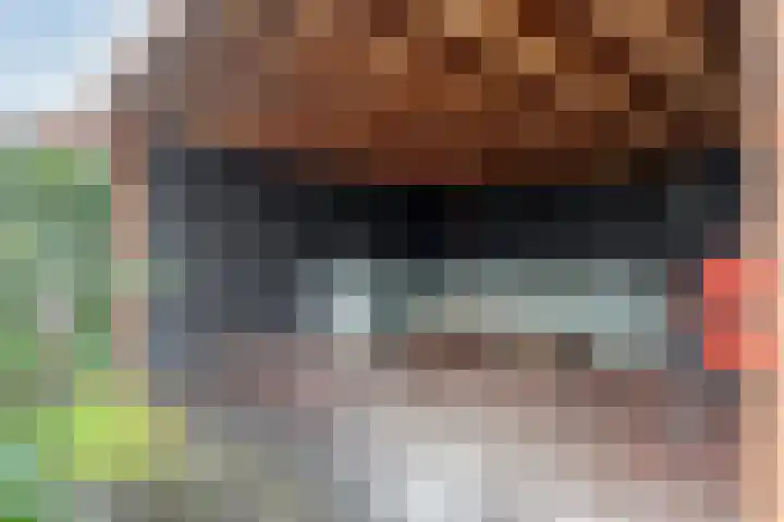 Oerdonk 43 Beuningen Gld thumbnail 47