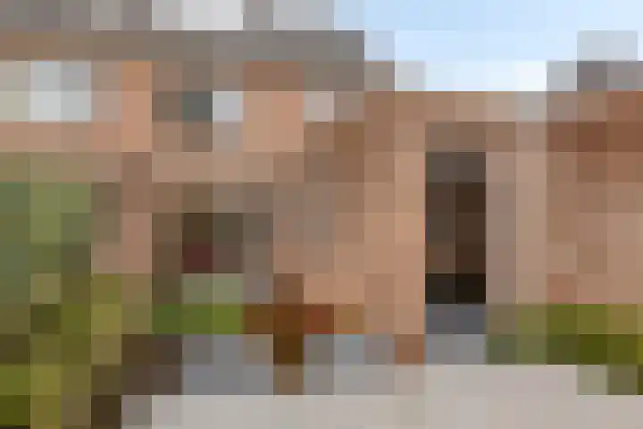 Oerdonk 43 Beuningen Gld thumbnail 49
