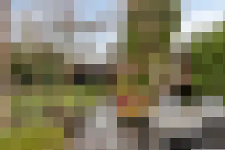 Oerdonk 43 Beuningen Gld thumbnail 5