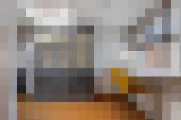 Oerlesestraat 128 Tilburg thumbnail 13