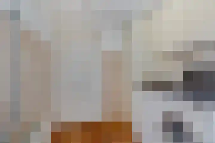 Oerlesestraat 128 Tilburg thumbnail 15