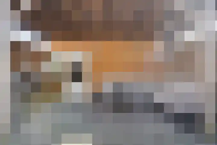 Oerlesestraat 128 Tilburg thumbnail 34