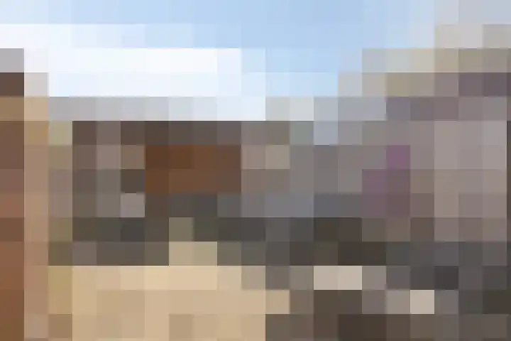 Oerlesestraat 128 Tilburg thumbnail 4