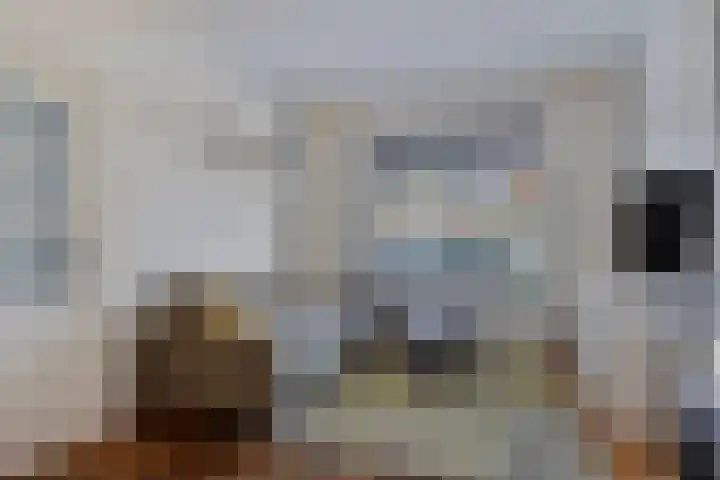 Oerlesestraat 128 Tilburg thumbnail 8