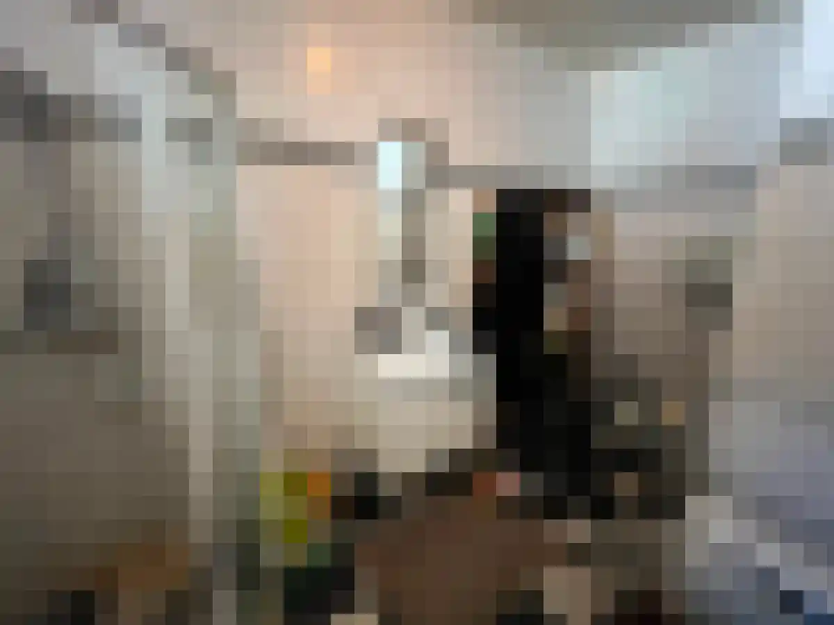 Oerlesestraat 148 Tilburg thumbnail 5