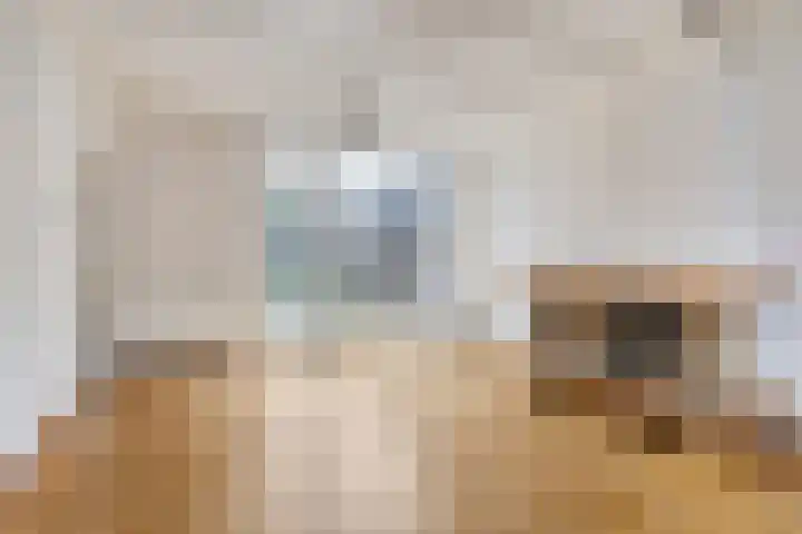 Oerlesestraat 164 Tilburg thumbnail 5