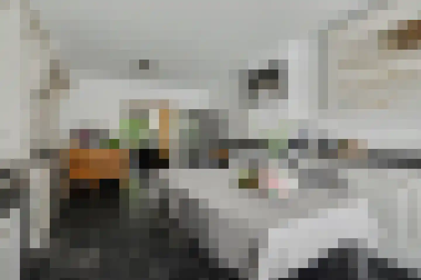 Oerlesestraat 180 Tilburg thumbnail 14