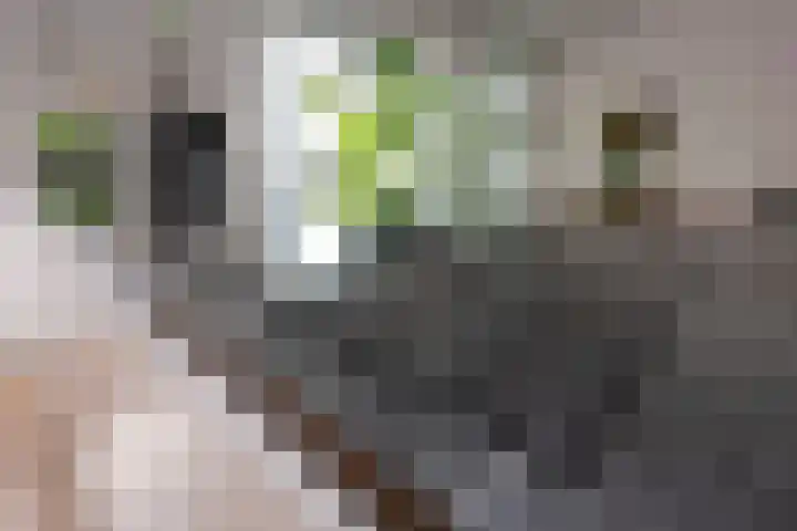 Oerlesestraat 198 Tilburg thumbnail 11